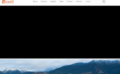 bizzellus.com screenshot