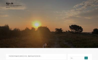 bjjo.dk screenshot