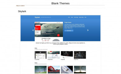 Skylark screenshot