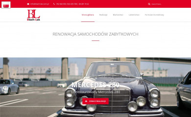 blach-lak.com.pl screenshot