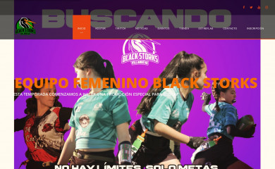 blackstorks.com screenshot