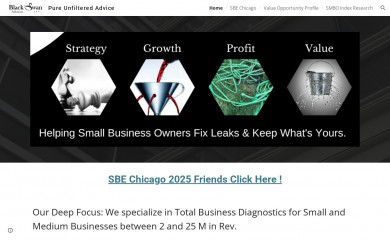 blackswanfp.com screenshot