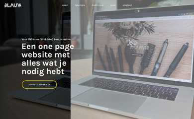 blauw-ontwerp.nl screenshot