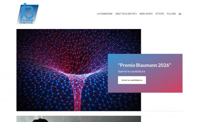blaumannfoundation.org screenshot