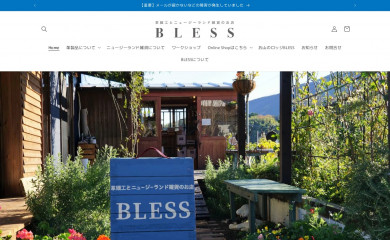 blessleather.com screenshot
