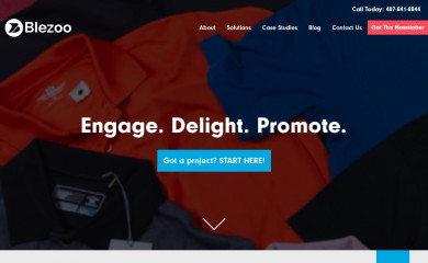 blezoo.com screenshot