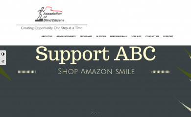 blindcitizens.org screenshot