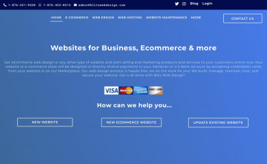 blitzwebdesign.com screenshot