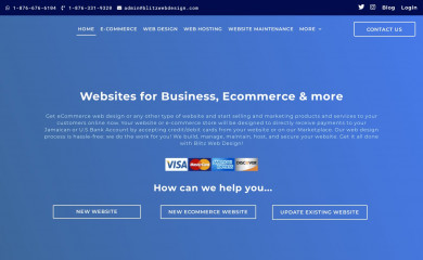 blitzwebdesign.com screenshot