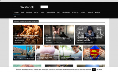 blivstor.dk screenshot
