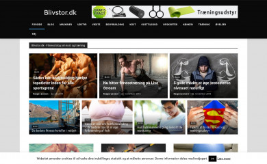 blivstor.dk screenshot