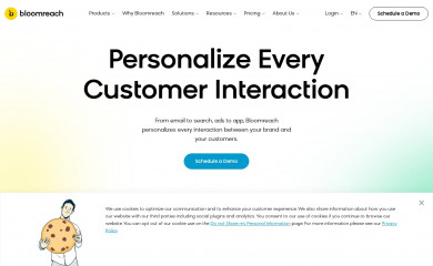 bloomreach.com screenshot