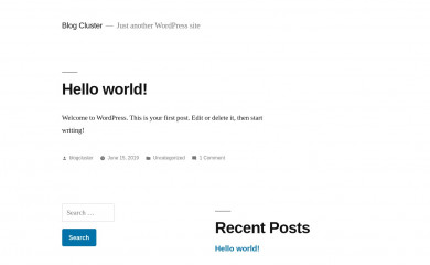 blogcluster.nl screenshot