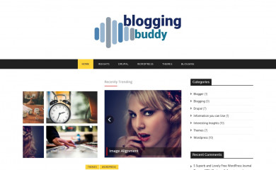 bloggingbuddy.com screenshot