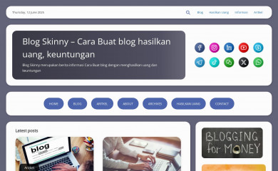 blogskinny.com screenshot