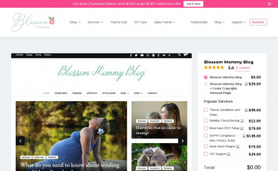Blossom Mommy Blog screenshot