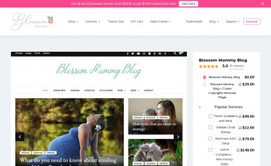 https://blossomthemes.com/downloads/blossom-mommy-blog-free-wordpress-theme/ screenshot