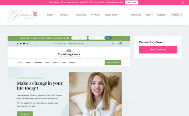 Consulting Coach screenshot