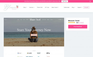 https://blossomthemes.com/wordpress-themes/blossom-travel/ screenshot