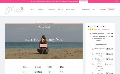 https://blossomthemes.com/wordpress-themes/blossom-travel-pro/ screenshot