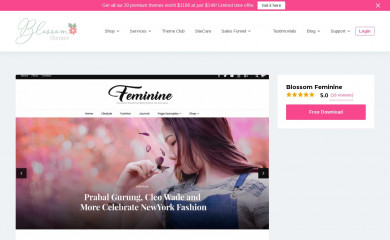https://blossomthemes.com/wordpress-themes/blossom-feminine/ screenshot