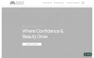 blossomaesthetic.com screenshot