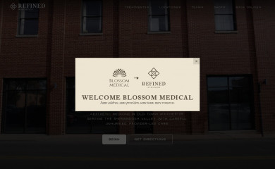 blossomaesthetic.com screenshot