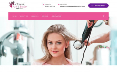 blossomhairbeauty.com screenshot