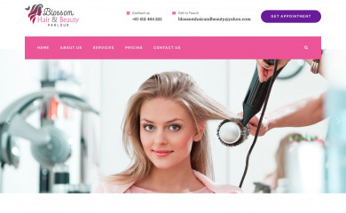 blossomhairbeauty.com screenshot