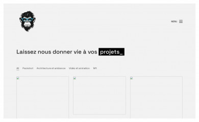 blue-monkey.fr screenshot