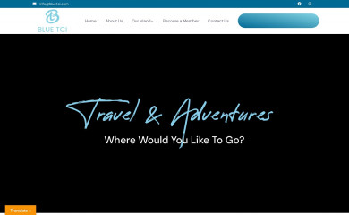 bluetci.com screenshot