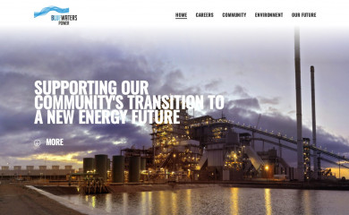 bluewatersps.com.au screenshot