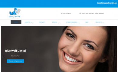 bluewolfdental.com screenshot