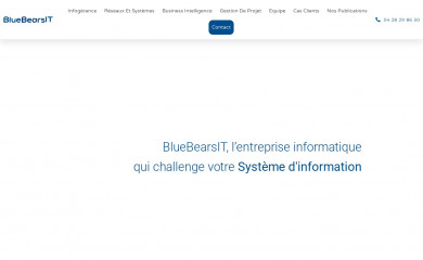 bluebearsit.com screenshot