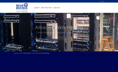 bluebuckle.com screenshot