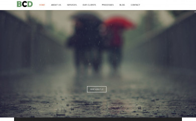 bluecactus.com.au screenshot