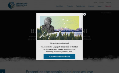 bluedot.ca screenshot