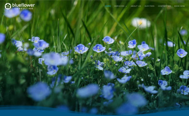 blueflowerconsulting.com.au screenshot