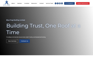 bluefrogroofing.com screenshot