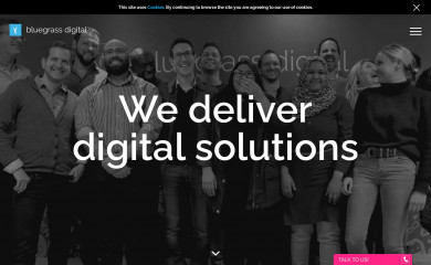 bluegrassdigital.com screenshot