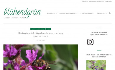 bluehendgruen.de screenshot