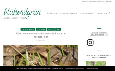 bluehendgruen.de screenshot