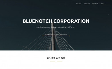 bluenotch.com screenshot