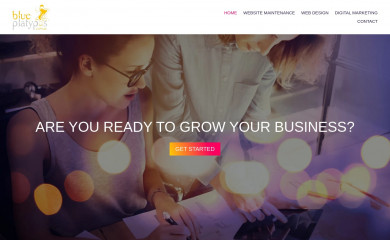 Blue Platypus Child Theme screenshot