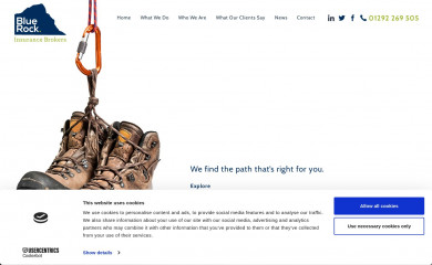 bluerockinsurance.co.uk screenshot