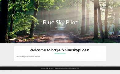 blueskypilot.nl screenshot