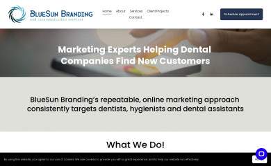 bluesunbranding.com screenshot