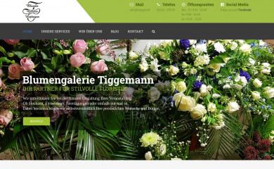 blugati.de screenshot