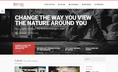 LiteMag by Bluthemes screenshot