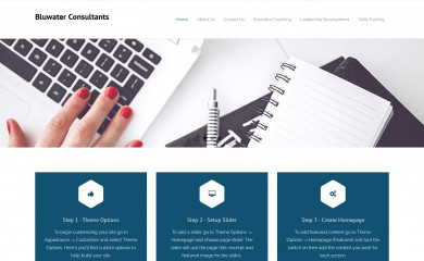 bluwaterconsultants.com screenshot